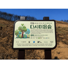 산불 피해지 생태계 회복을 위한 지속가능 프로젝트  키엘, ‘다시이음숲’ 복원 사업 참여 …